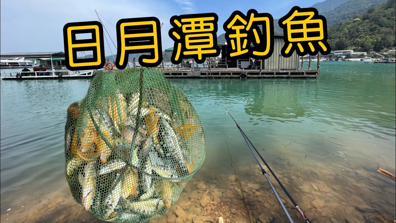 日月潭釣魚 I 湖光山色絕美釣點 I 枯水期限定 I 紅魔鬼 I 珍珠石斑