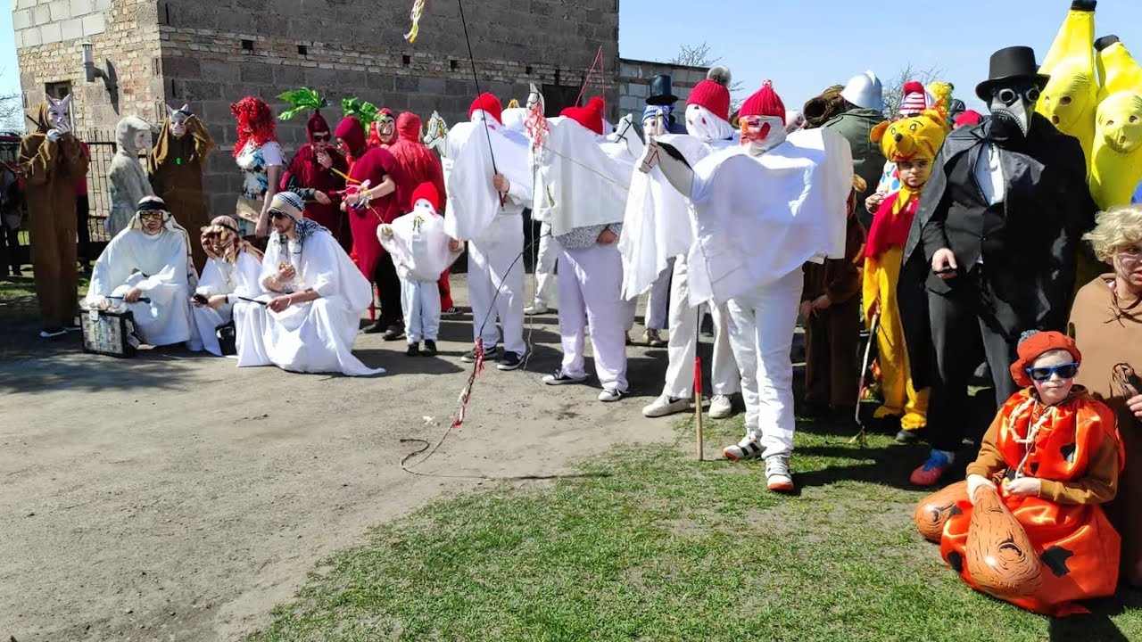 Duży Siwek Chorzemin 2022