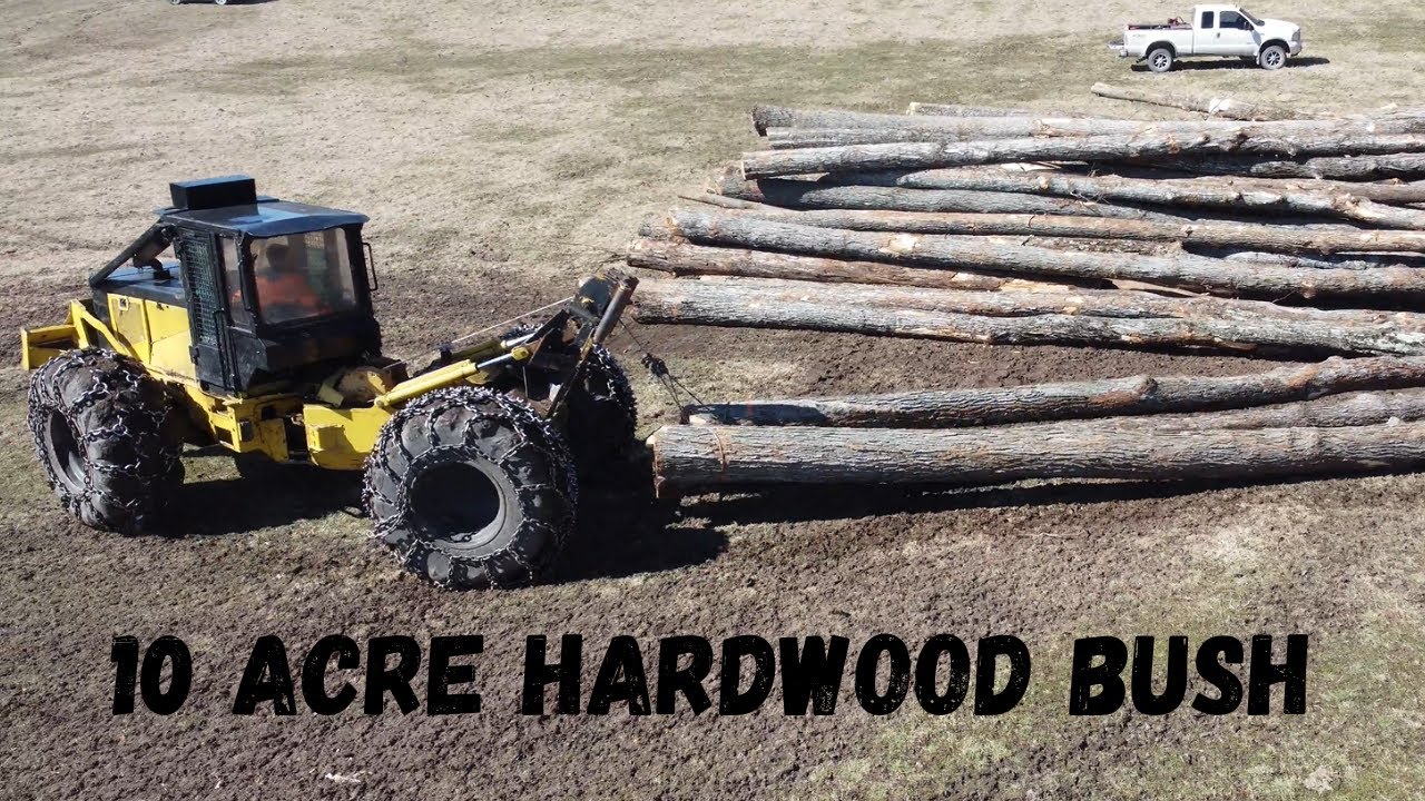 Logging Ten Acre Maple Bush