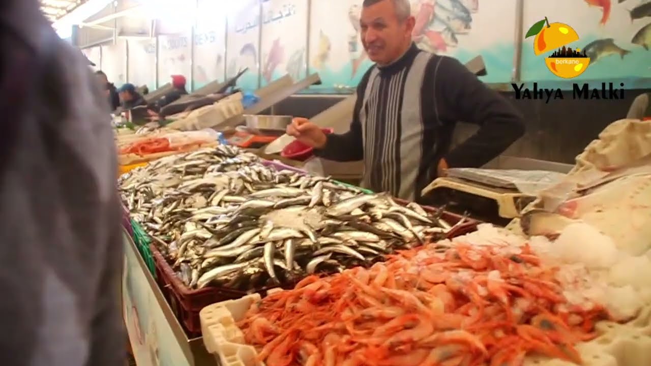 22 février 2026    جولة بمركب الأسماك ببركان وارتفاع كبير الثكنة االسمك
