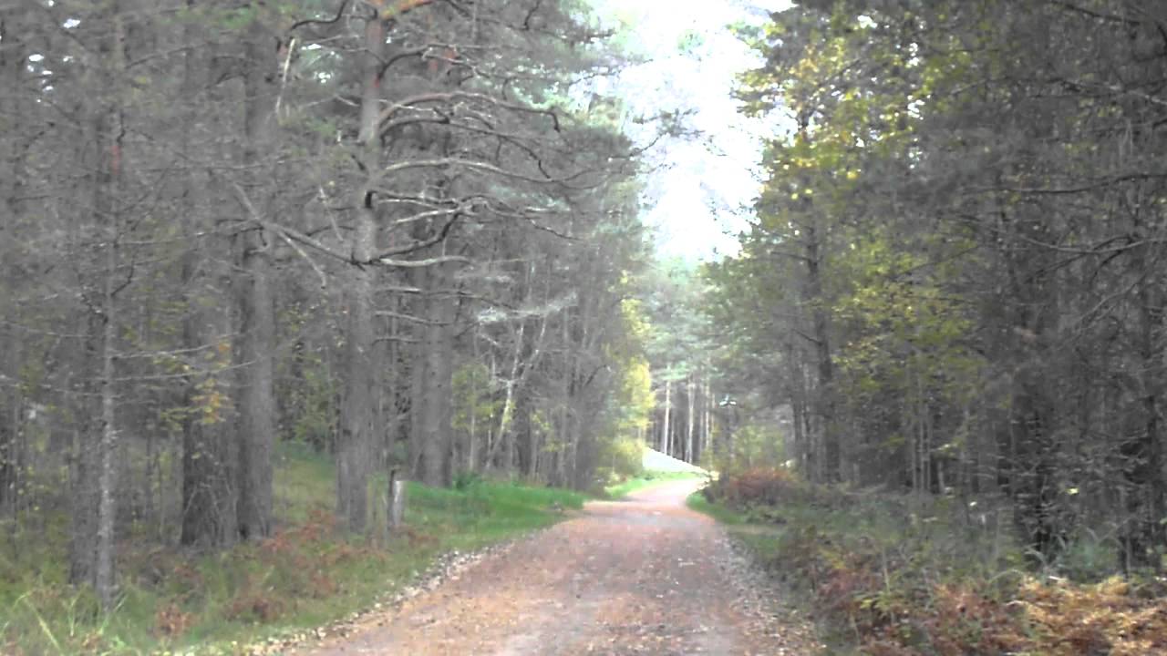 Kloogaranna 4.10.2015