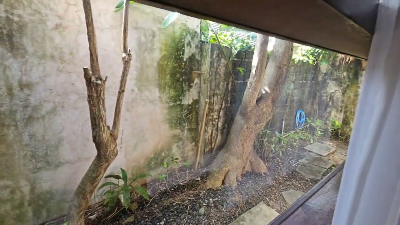 Villa Puri Ayu Hotel Review