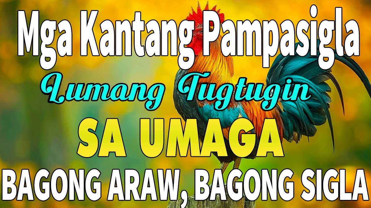 OPM Inspirational Songs Pampalakas ng Loob 🌞 Playlist Para sa Isang Mas Magandang Umaga