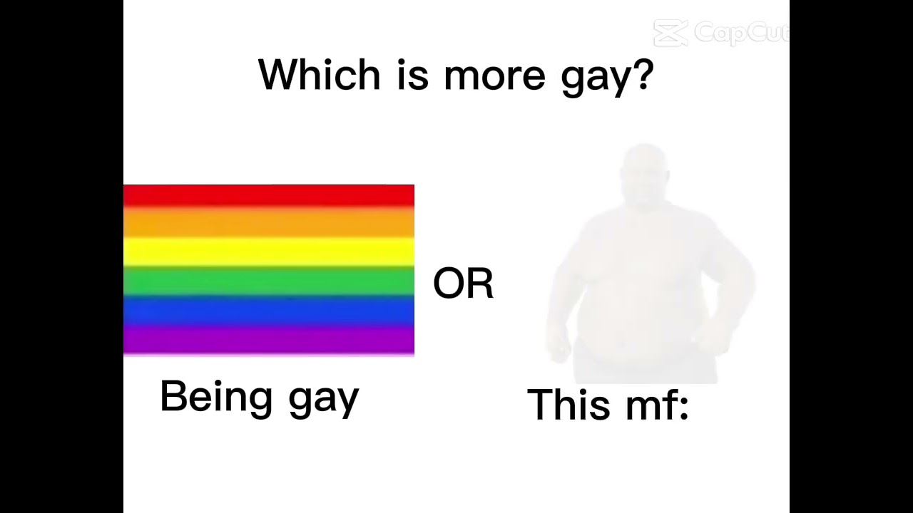 Which Is.more gay