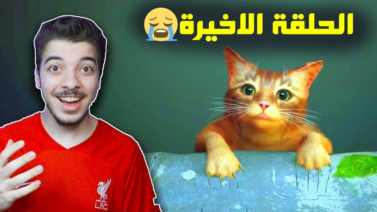 عشت حياة القطة للمرة الاخيرة 🐈 ..! ( لازم ننقذها من الغابة المجهولة! ) Stray