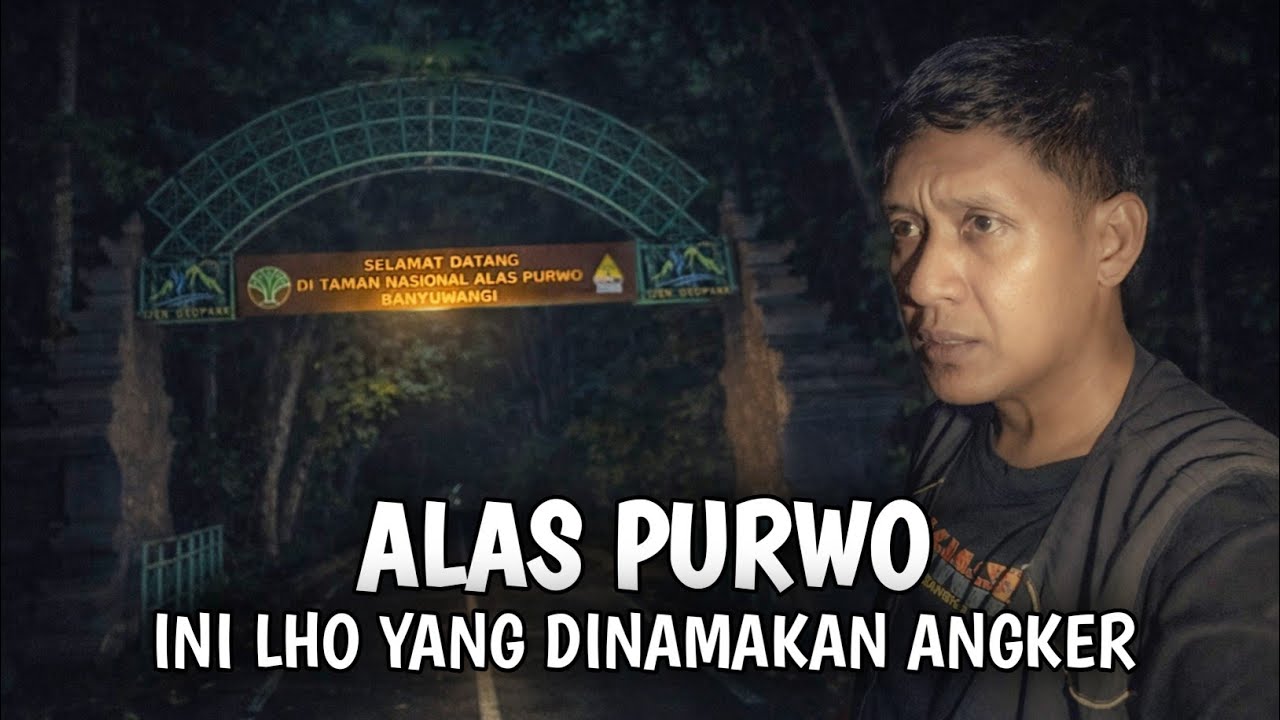JANGAN MAIN-MAIN DI ALAS PURWO ANGKERNYA SETENGAH MATI & INI YANG TERJADI..