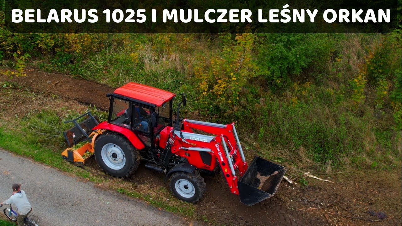 Czyszczenie zaniedbanej działki!!  BELARUS 1025.3 x MULCZER LESNY ORKAN KL 180