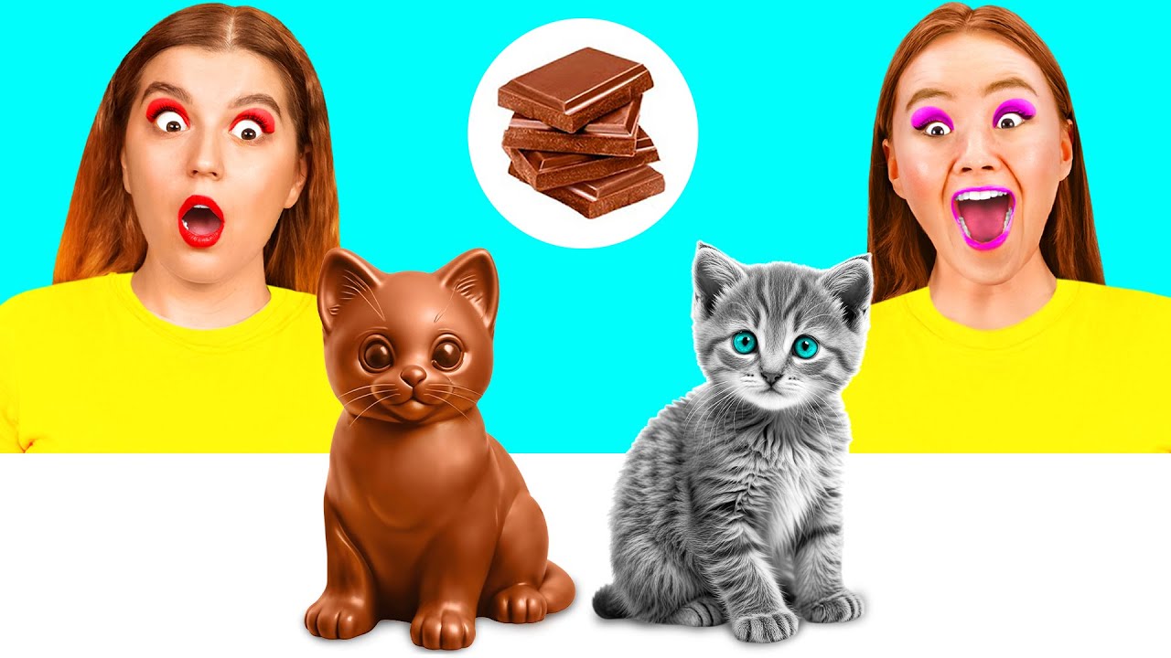 Челлендж. Шоколадная Еда vs Настоящая еда | Кухонные Войны от DuKoDu Challenge