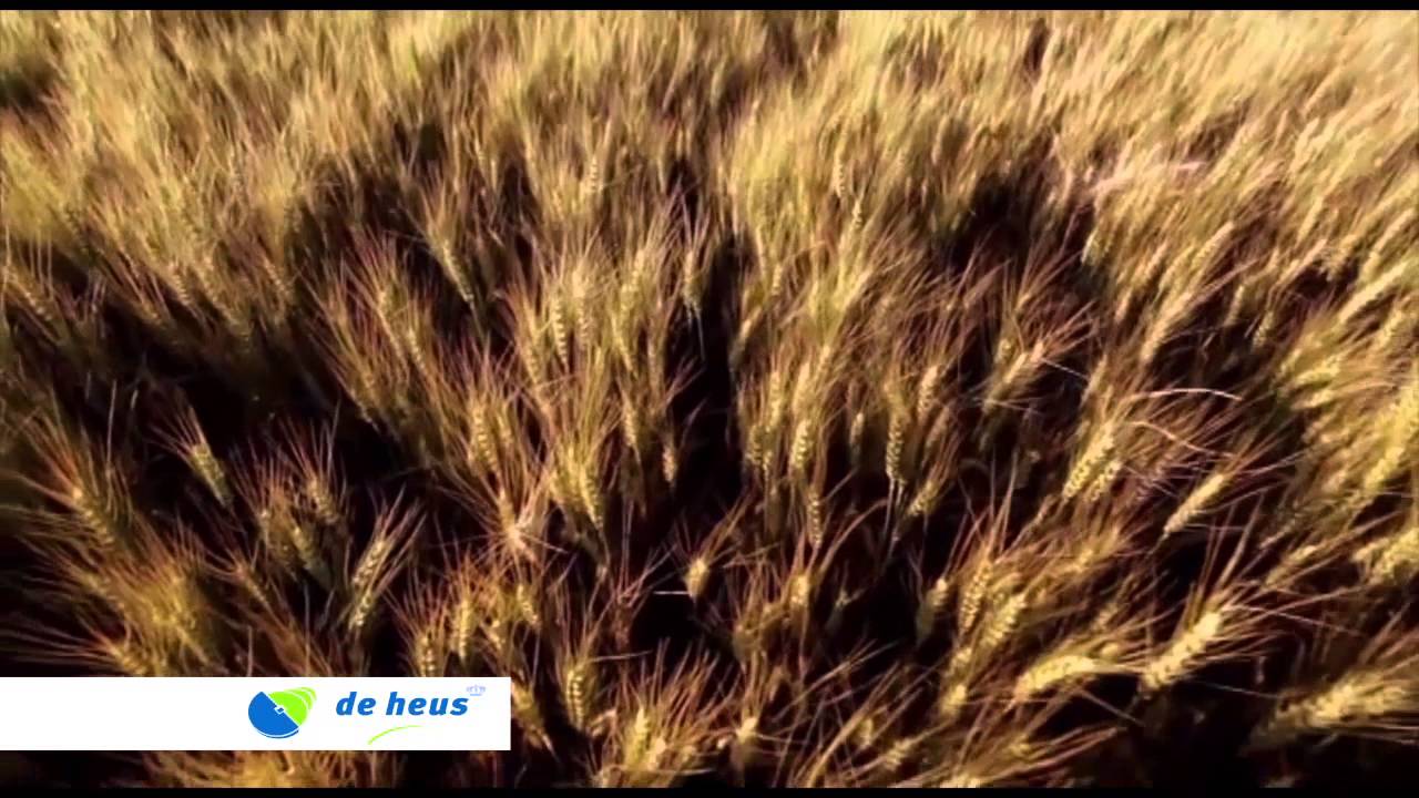 De Heus tv