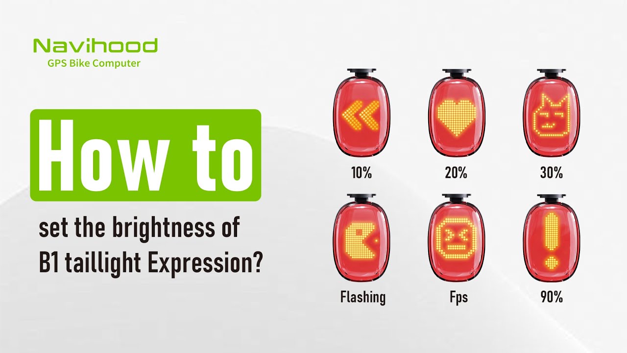 B1 Brightness | How to set the brightness of B1 Taillight Expression?