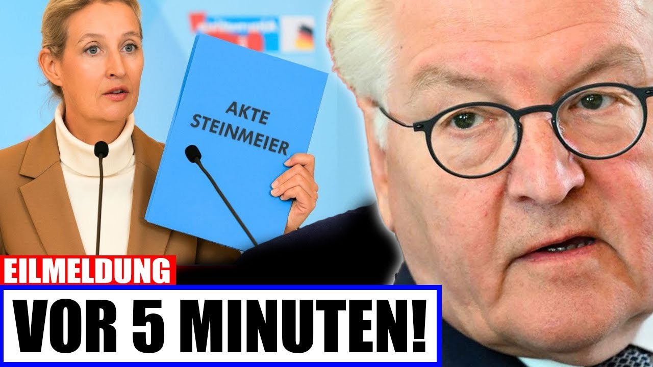 💥 AFD best&auml;tigt das Unfassbare &ndash; Alice bringt Steinmeier mit Schockinfo zum Schweigen