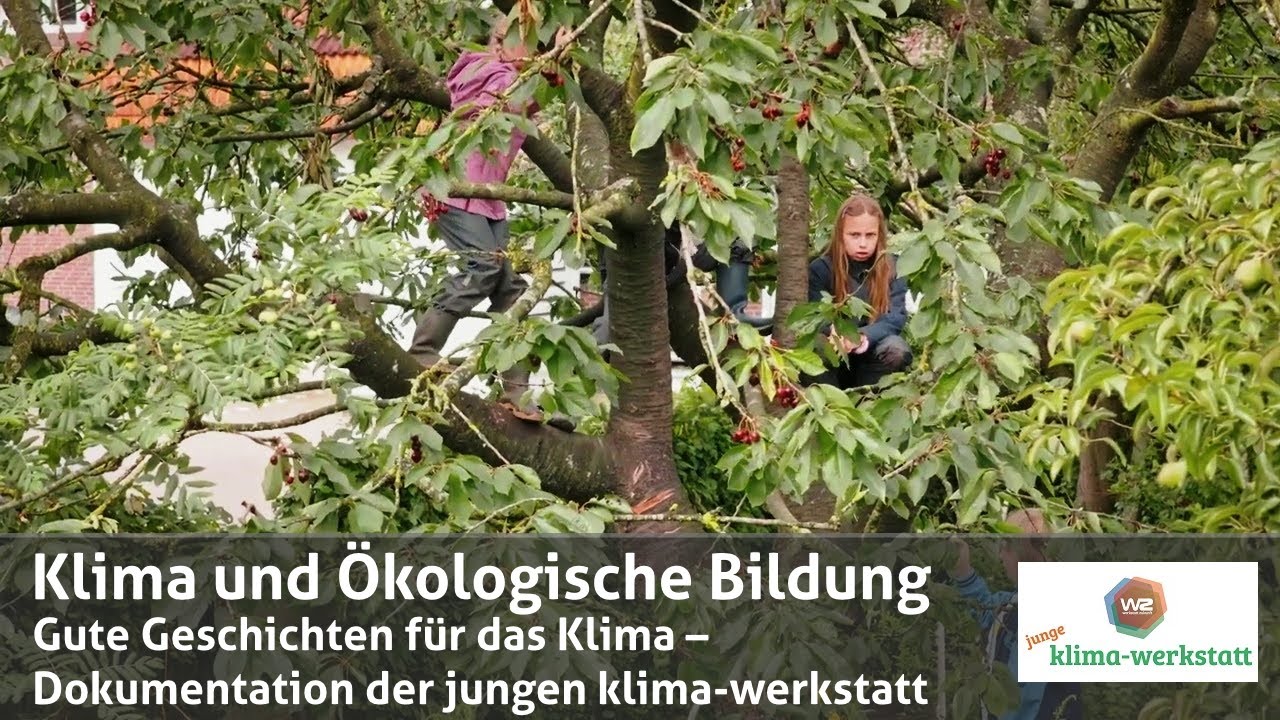 Klima und Ökologische Bildung – Dokumentation | junge klima-werkstatt