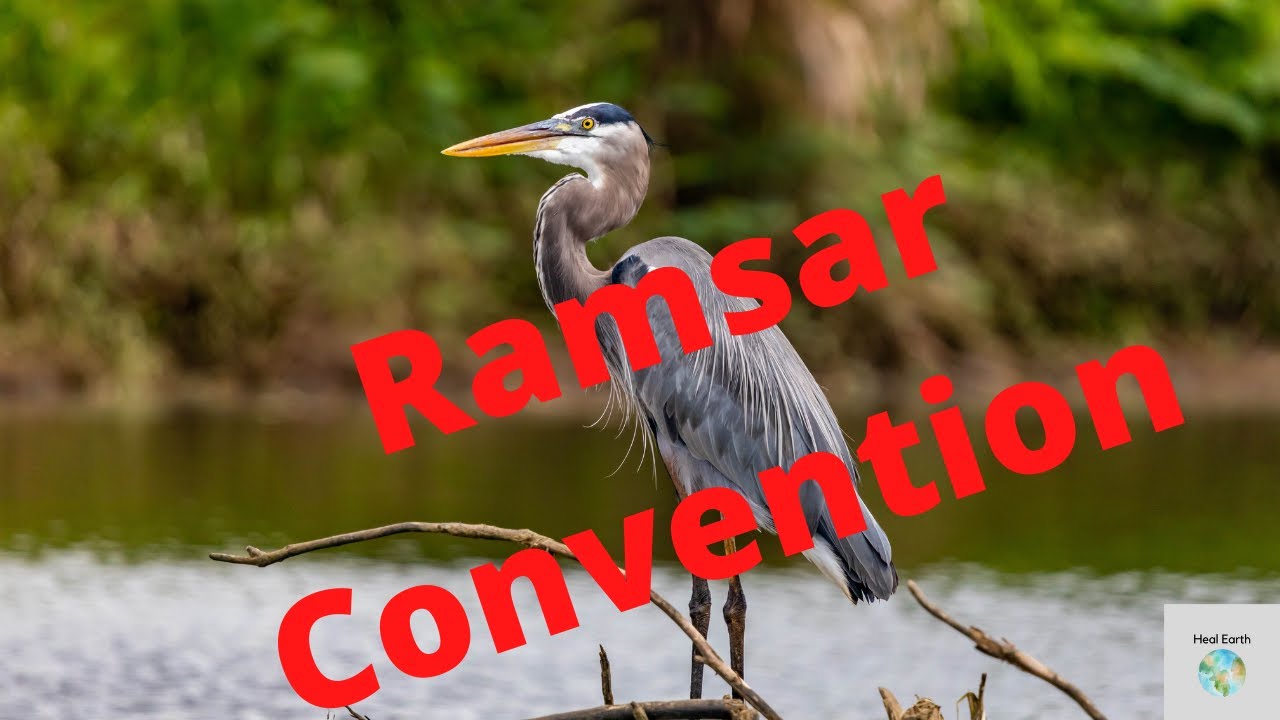 Ramsar Convention Explained / Heal Earth