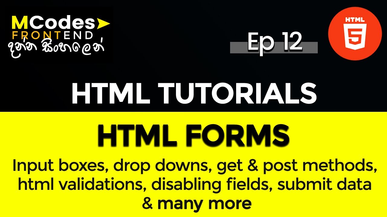 HTML Forms Crash Course: from Zero to Hero Step by Step Guide (in Sinhala)
