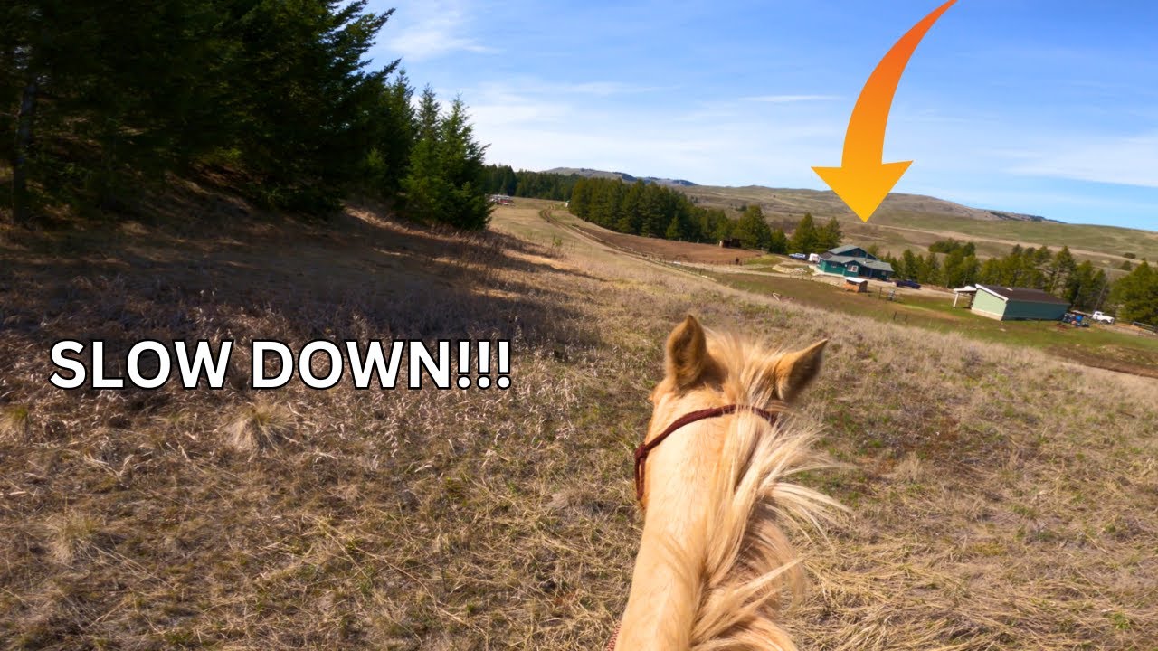 HOW TO SLOW DOWN A HORSE THAT'S IN A HURRY TO GET BACK?!🐎