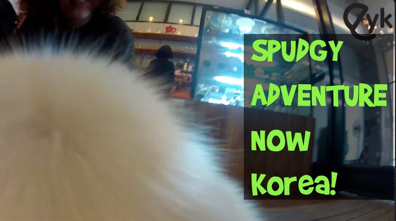 A Walk with Spudgy