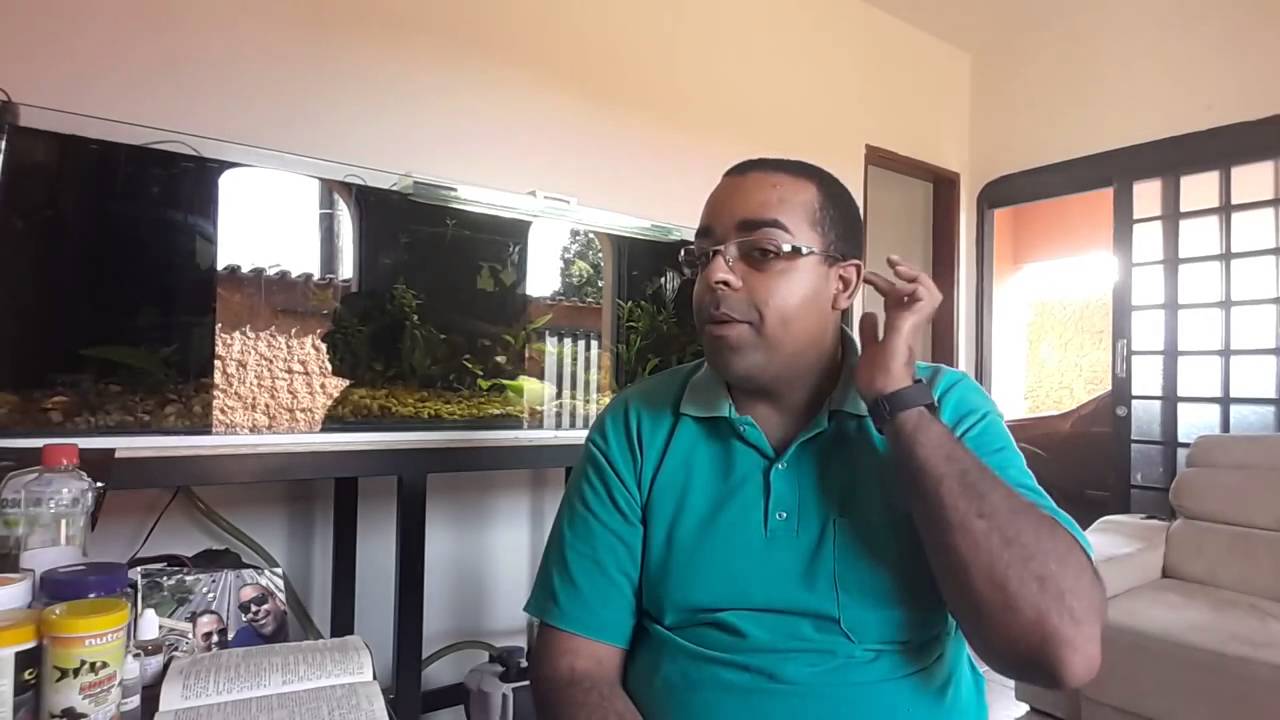 CICLAGEM DE AQUARIOS   COMO SABER QUANDO O AQUARIO ESTA CICLADO   AQUARISMO RESPONSAVEL