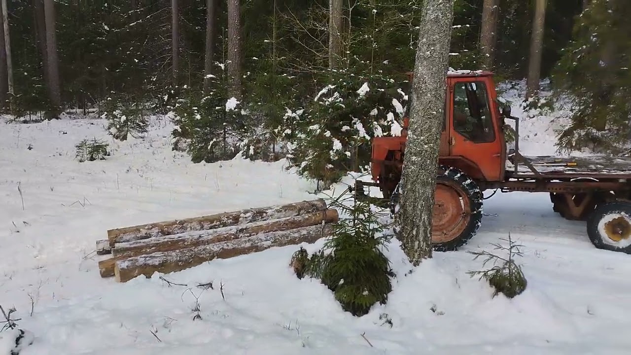 Wife driving tractor #tractor #log #wife #tractor #t16 #forest #forestlife