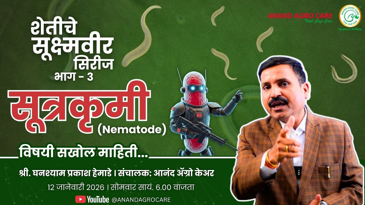 शेतीतील सूक्ष्मवीर (भाग ३) : निमेटोड नियंत्रण आणि उपाय  कसे करावे? | nematode control organic