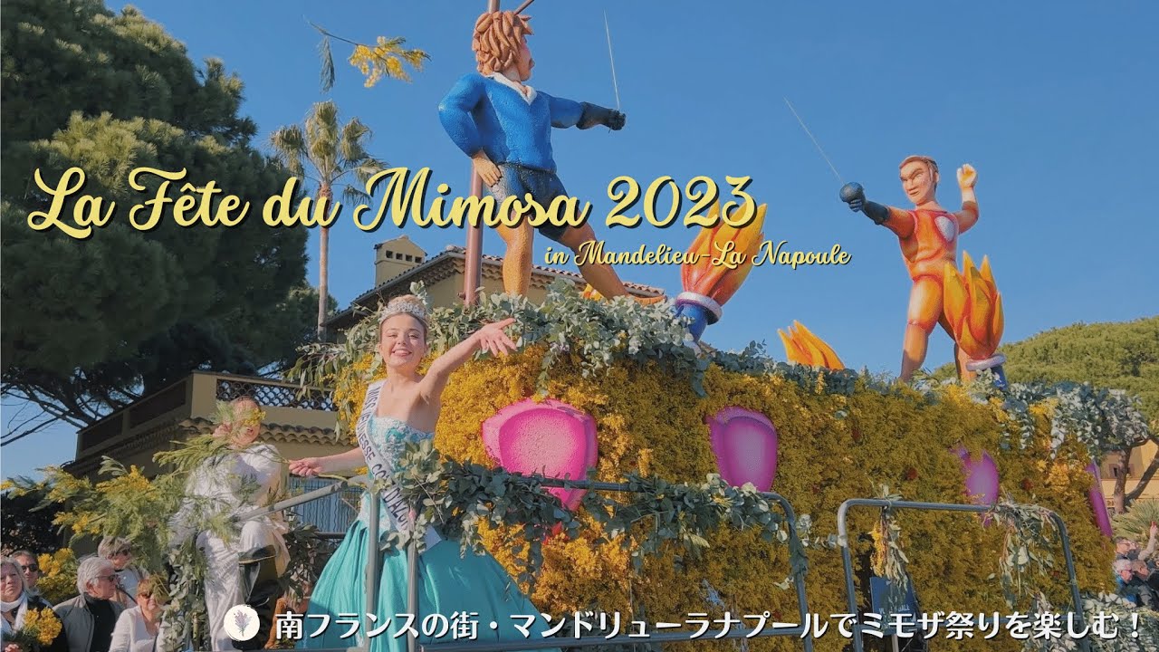 Фестиваль мимозы в Манделье-Ла-Напуль 2023 / юг Франции / парк, где можно увидеть мимозы /