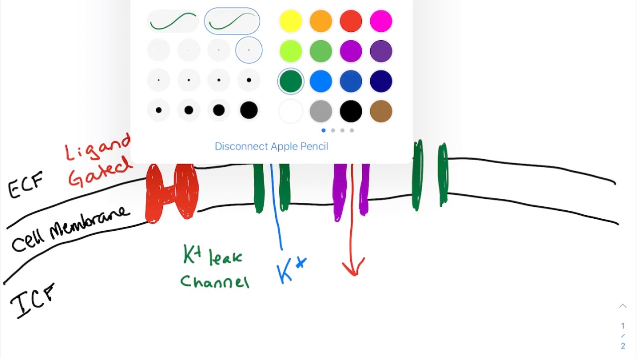 10 Leak Channels