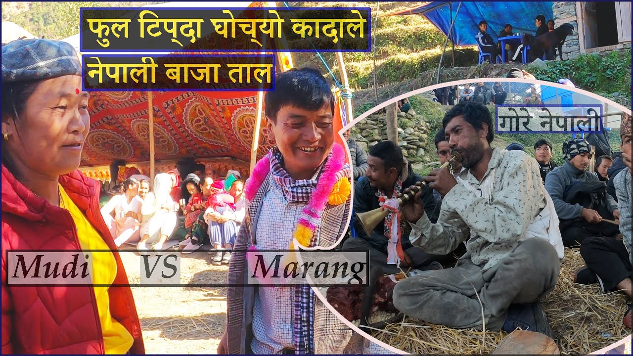 fula tipda ghochyo kadale panche baja || organic panche baja || dhaulagiri gaupalika myagdi nepal