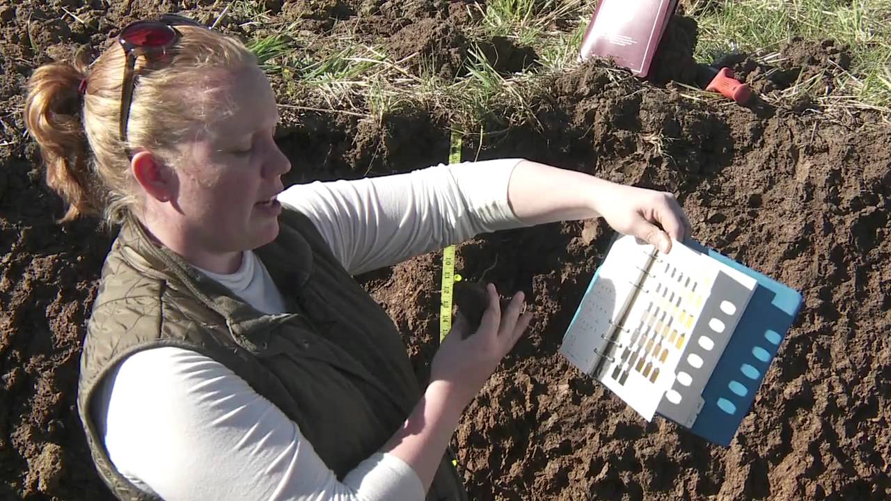 Soil Profiling: Color