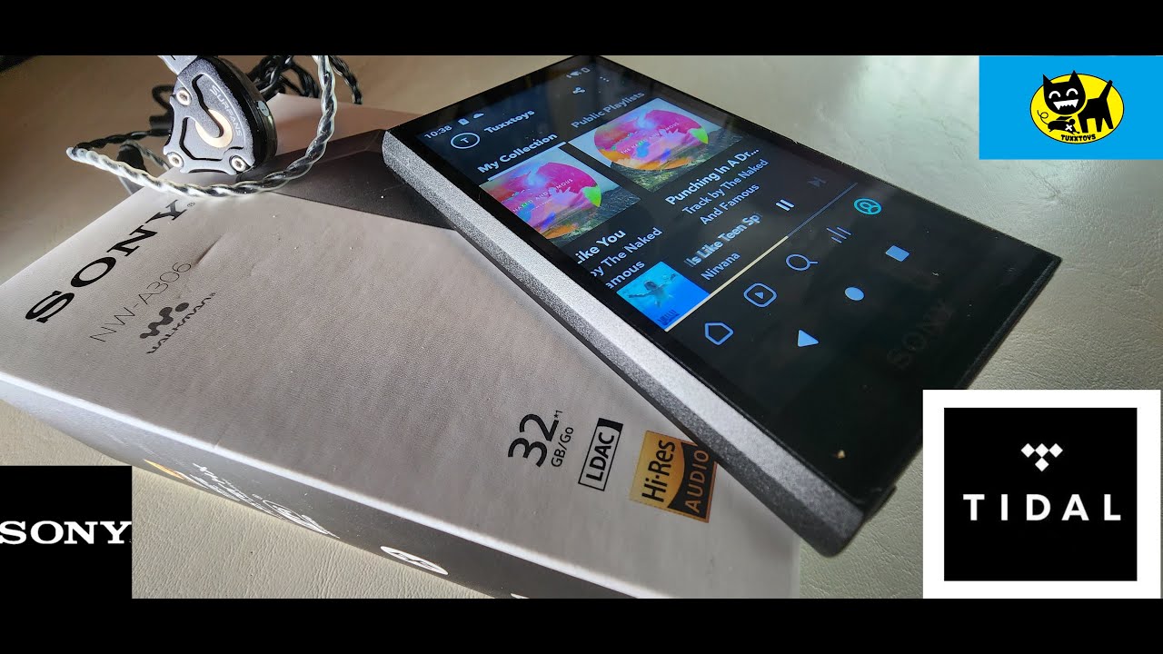 Sony NW-A306 Walkman  - Tidal / Streaming Services & Hi-Res Portable