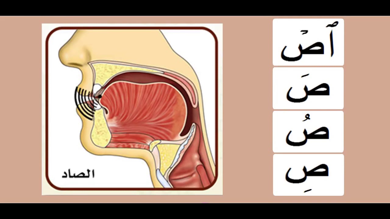 Practicing The Arabic Letters |ص| Sheikh Ayman Suwaid