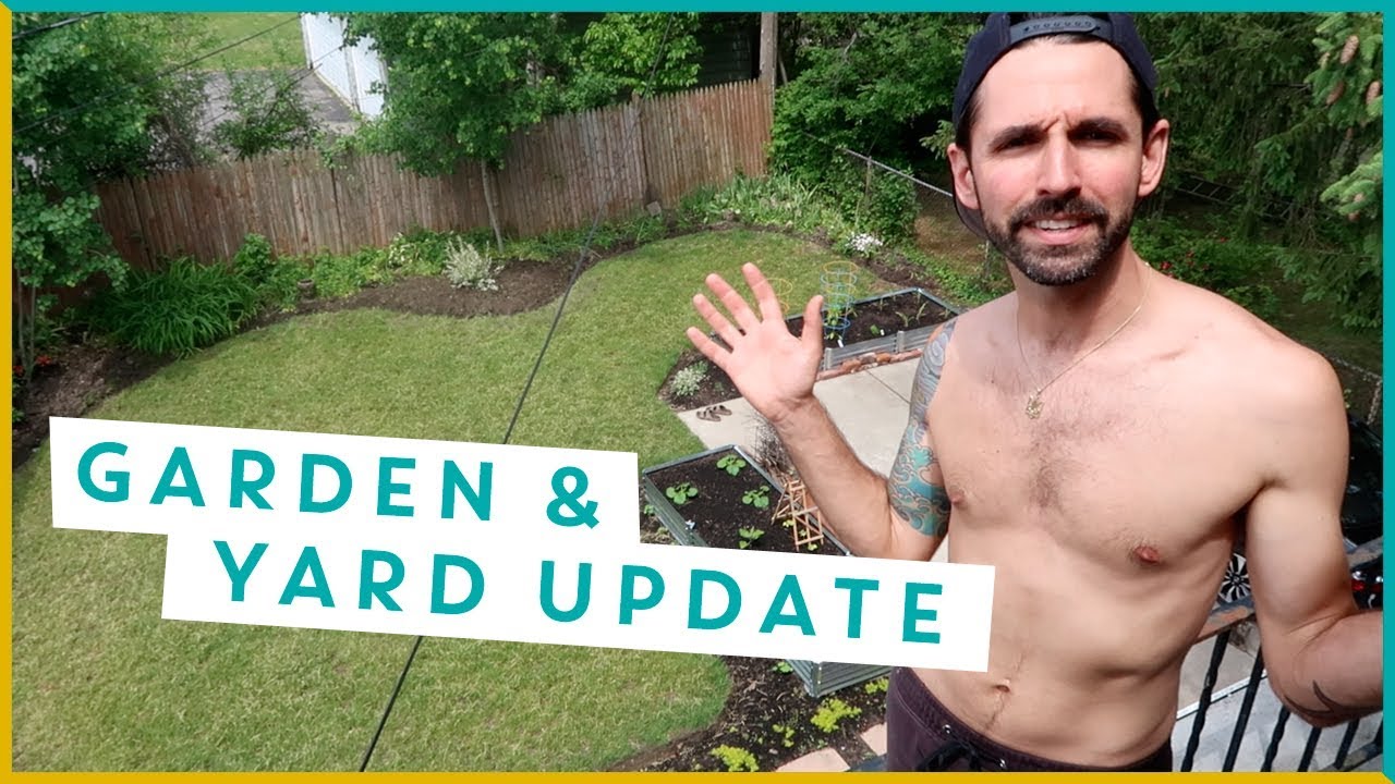 Garden and Yard Update | Billy & Pat