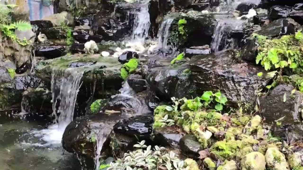The peace 🕊️ can be felt in nature 