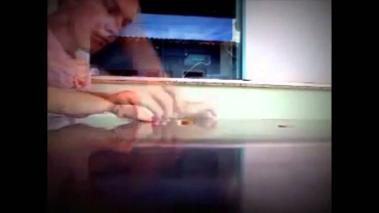 Newton's First Law of Motion   Example 6