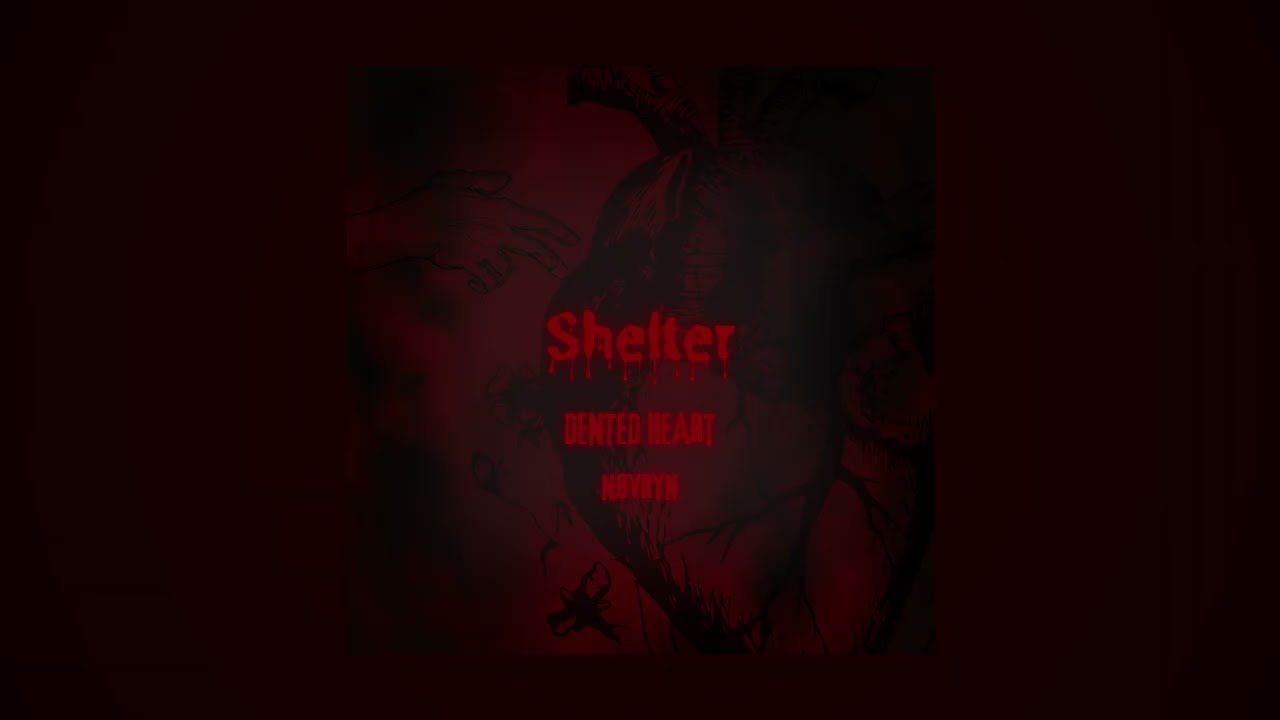 Shelter