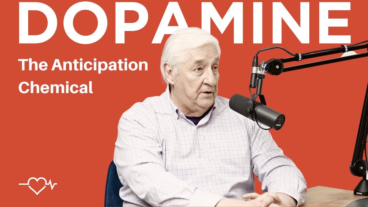 DOPAMINE | How The Anticipation Chemical Affects The Way We Love