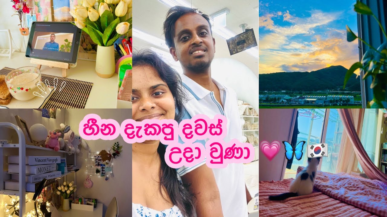 හීන දැකපු දවස් උදාවුණා 💗🦋🇰🇷 | අලුත් ගෙදරට ගිය දවස 🤍 | Life In Korea 🍁