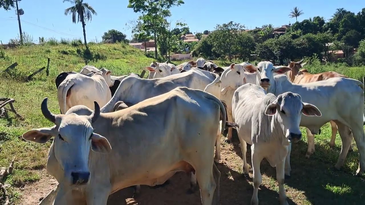 Não desista do seus sonhos tudo é possível #