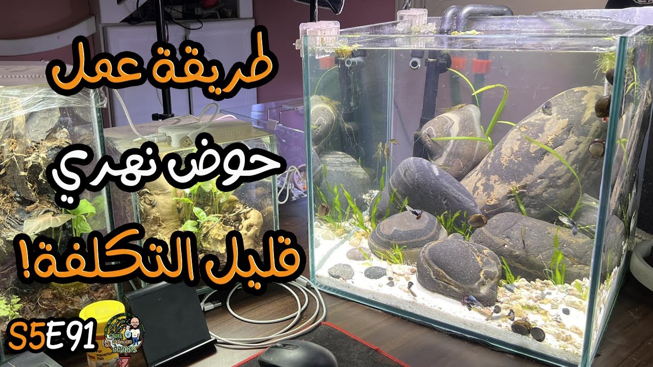 S5E91 - طريقة عمل حوض نهري قليل التكلفة !