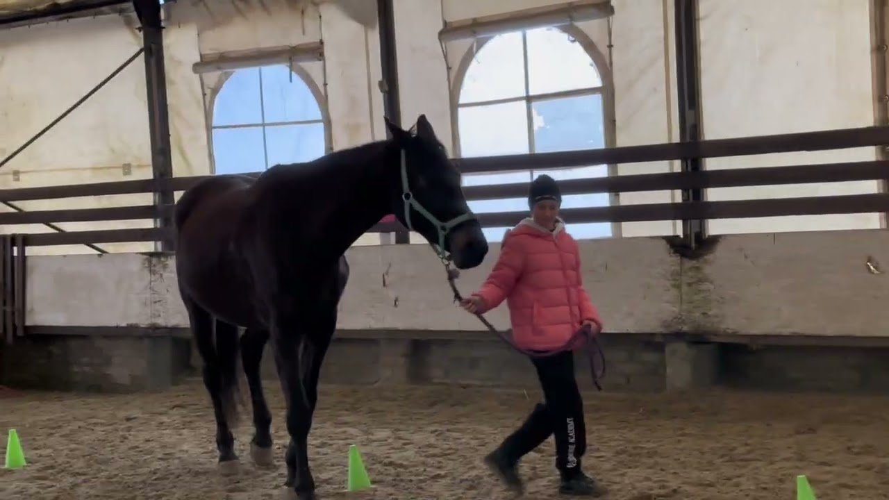TOR DOKŁADNOŚCI DLA KONI 🤩🐴