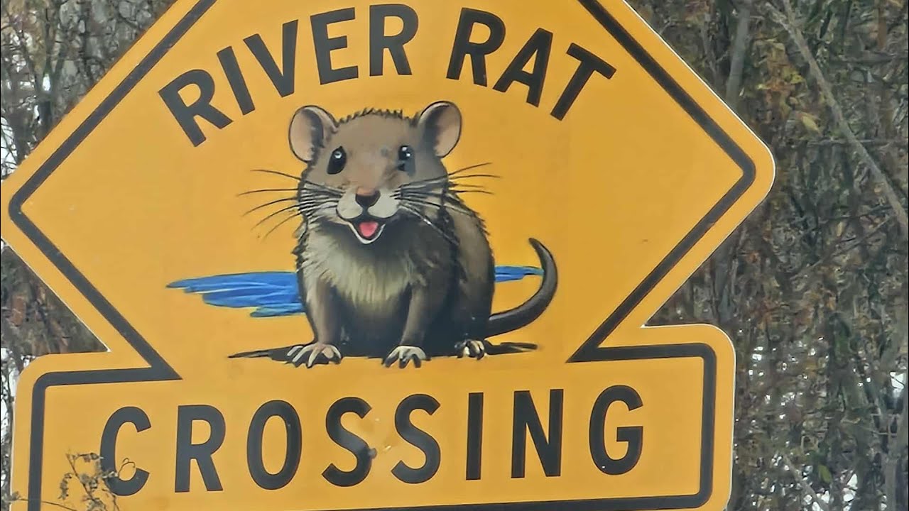 ANOTHER MAILBOX CALL FROM REALISTIC FISHING GO GET HOOKED UP TODAY!! #fishing #trending #viral 