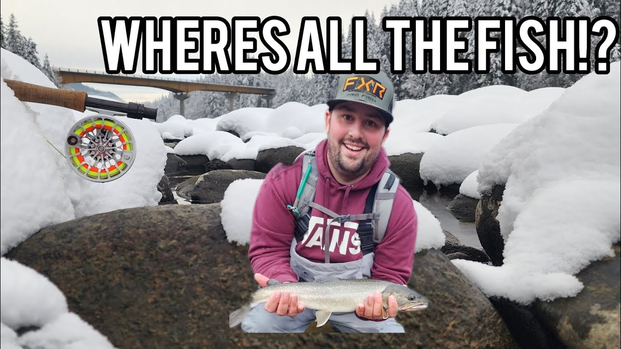 On The Hunt For Bull Trout Mid January