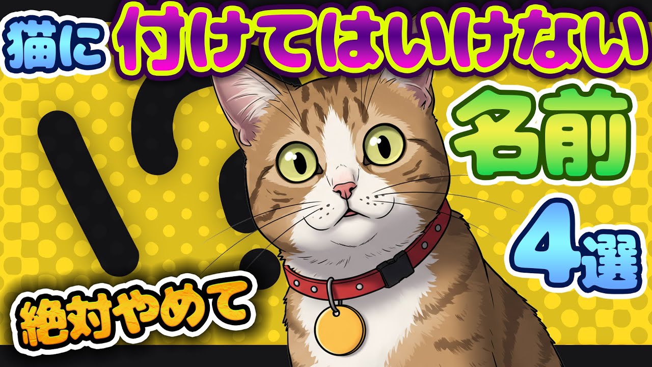 【絶対やめて！】猫に付けてはいけない名前【4選】