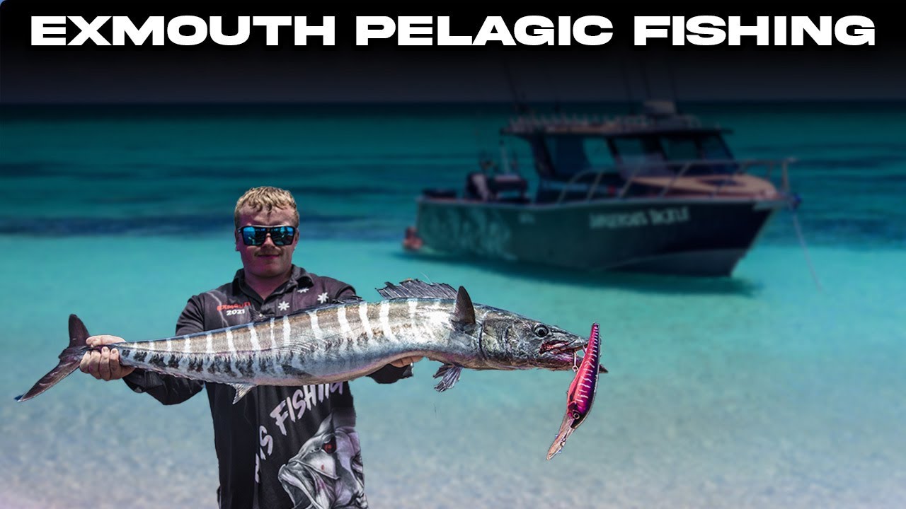 Deep Sea Fishing For the Top 5 FASTEST FISH IN THE OCEAN | Excessive Fishing Australia