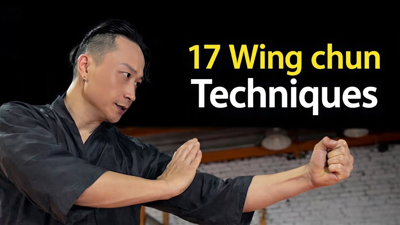 17 Wing Chun Self Defense Techniques Martial Arts Instruction