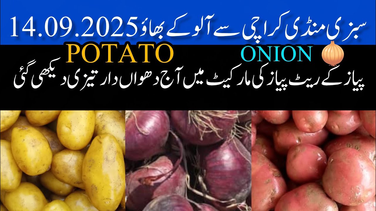 Potato mandi rate // onion price today // potato onion price today Karachi mandi 14.09.2025