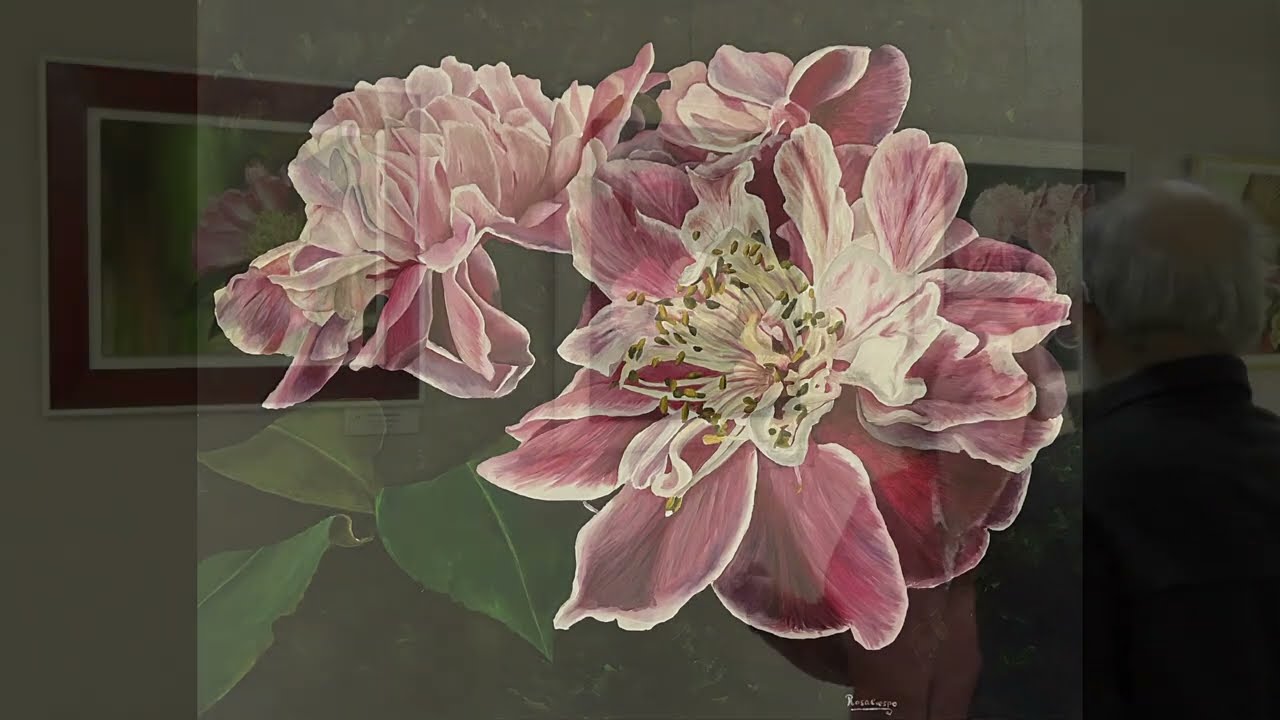 Inauguración Exposición Rosa Crespo La Cultural Sanxenxo