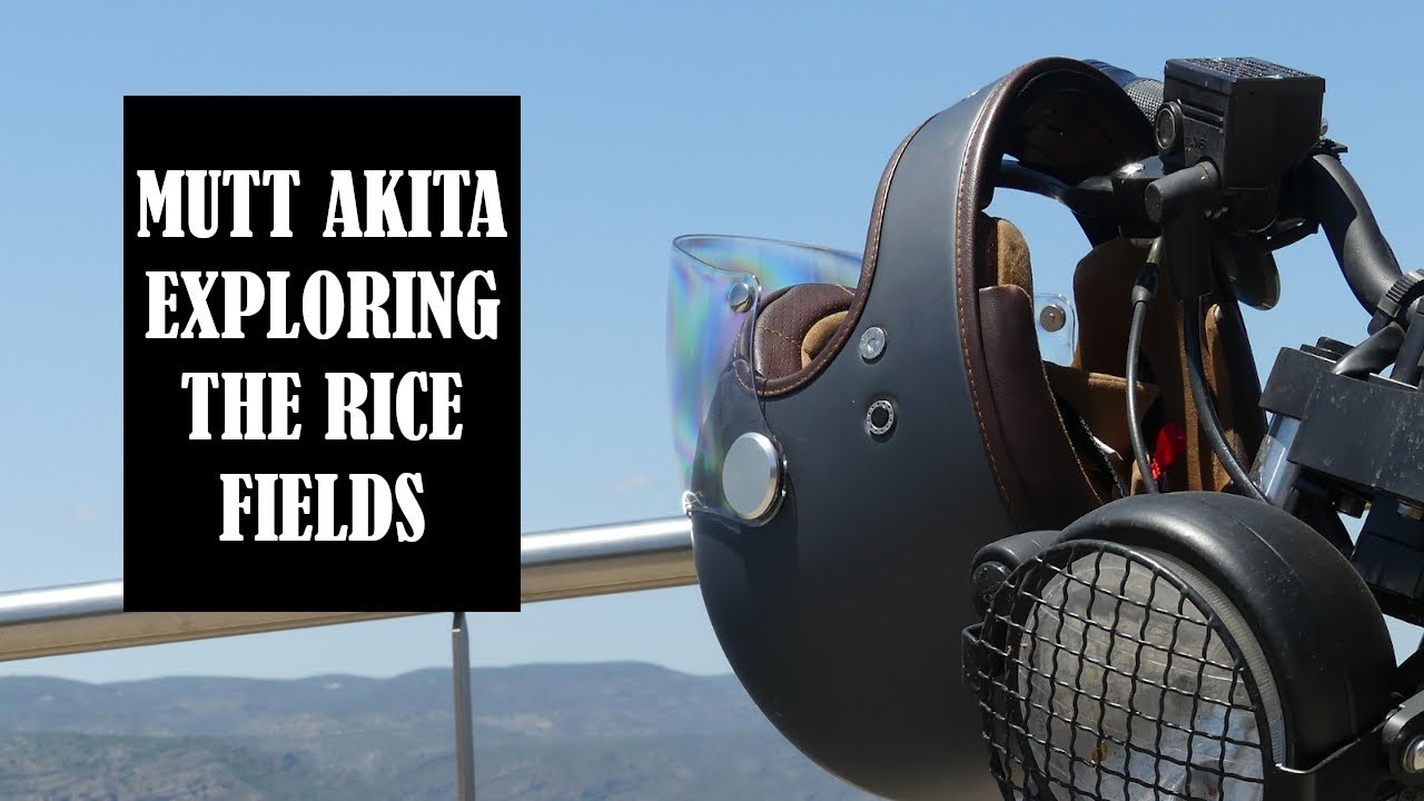 Mutt Akita 125cc - Exploring the rice fields