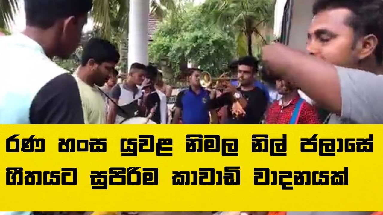 රණ හංස යුවළ නිමල නිල් ජලාසේ ගීතයට සුපිරිම කාවාඩි වාදනයක්