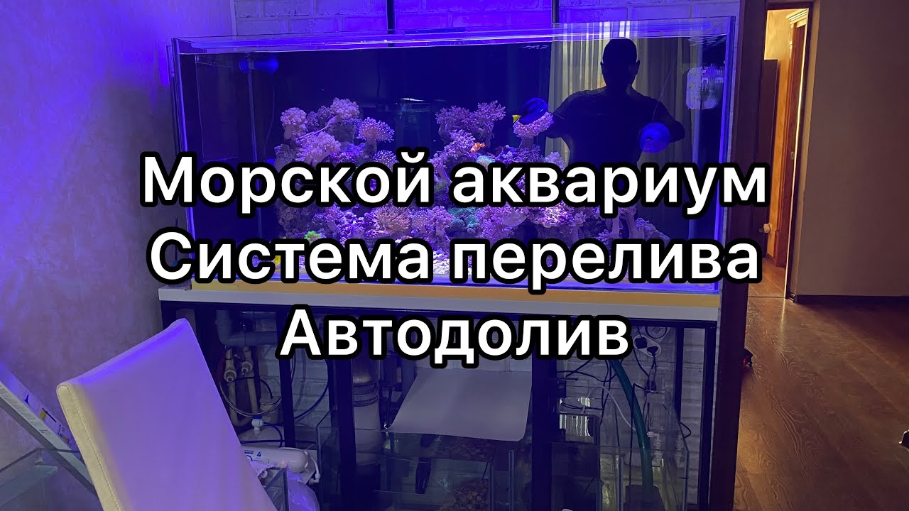 Морской Аквариум | Аквариум | Перелив в морском аквариуме | Автодолив | Попоавковый автодолив