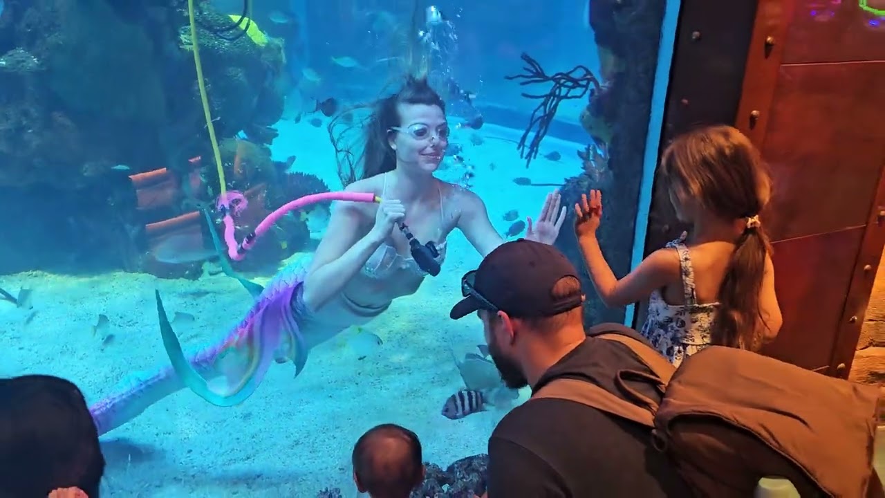 Taz Mermaid at the Silverton