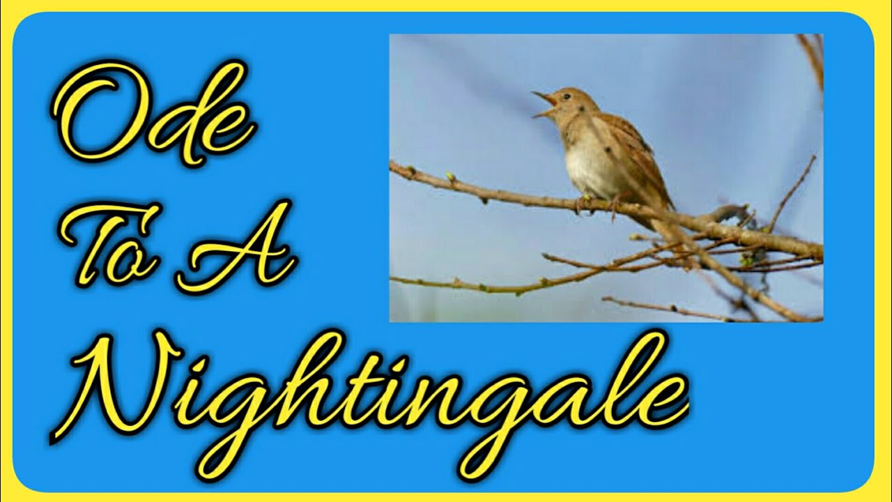 Ode To A Nightingale Poem by John Keats In Tamil